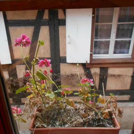 Apartamento La Cour Des Meuniers - Le Froment Et L'Epeautre Kaysersberg-Vignoble Exterior foto